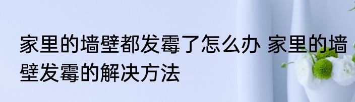 家里的墙壁都发霉了怎么办 家里的墙壁发霉的解决方法