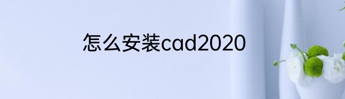 怎么安装cad2020