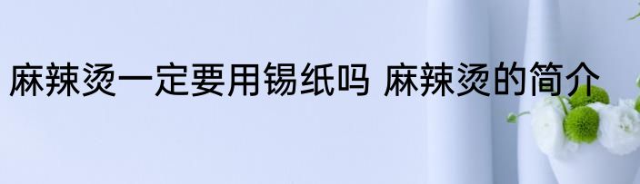 麻辣烫一定要用锡纸吗 麻辣烫的简介
