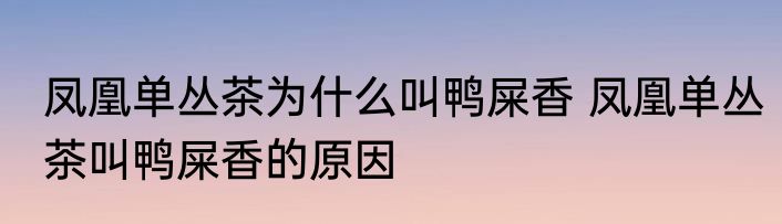 凤凰单丛茶为什么叫鸭屎香 凤凰单丛茶叫鸭屎香的原因