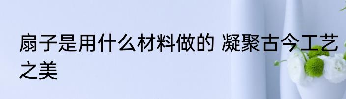 扇子是用什么材料做的 凝聚古今工艺之美