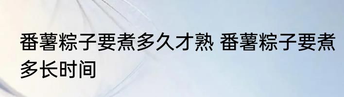 番薯粽子要煮多久才熟 番薯粽子要煮多长时间