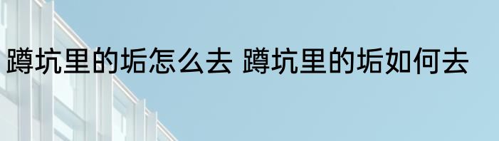 蹲坑里的垢怎么去 蹲坑里的垢如何去