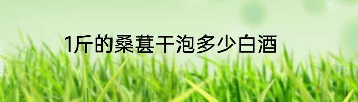 1斤的桑葚干泡多少白酒