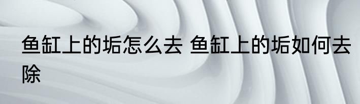 鱼缸上的垢怎么去 鱼缸上的垢如何去除