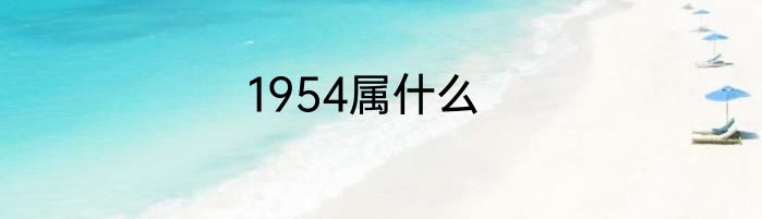 1954属什么