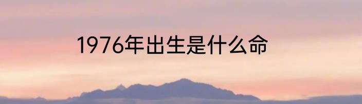 1976年出生是什么命
