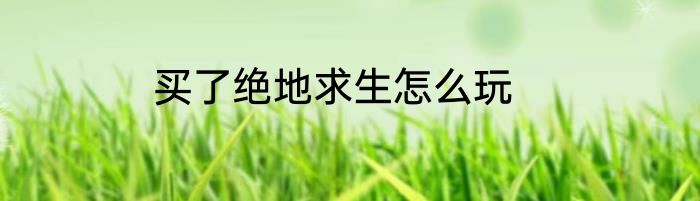 买了绝地求生怎么玩