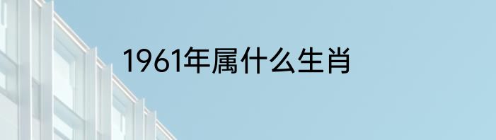 1961年属什么生肖