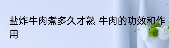 盐炸牛肉煮多久才熟 牛肉的功效和作用