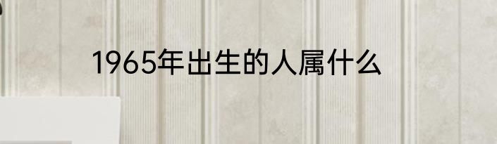 1965年出生的人属什么