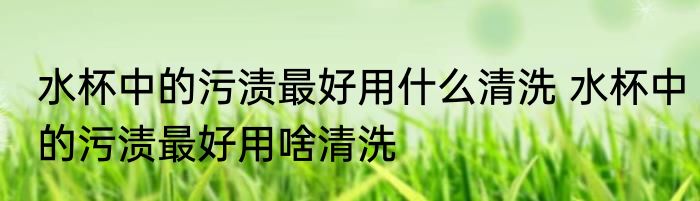 水杯中的污渍最好用什么清洗 水杯中的污渍最好用啥清洗