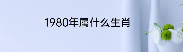 1980年属什么生肖
