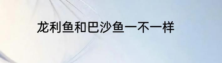 龙利鱼和巴沙鱼一不一样