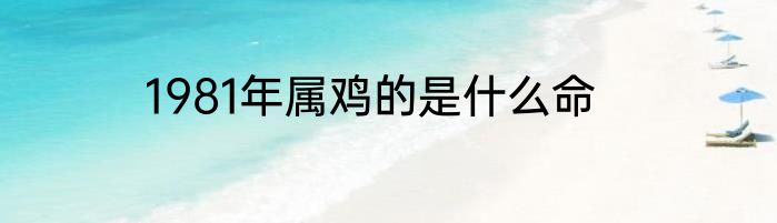 1981年属鸡的是什么命