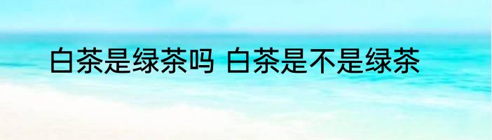 白茶是绿茶吗 白茶是不是绿茶