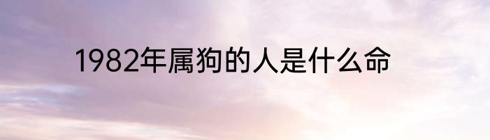 1982年属狗的人是什么命