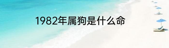1982年属狗是什么命
