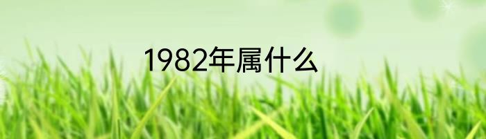 1982年属什么