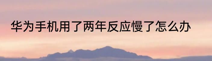 华为手机用了两年反应慢了怎么办