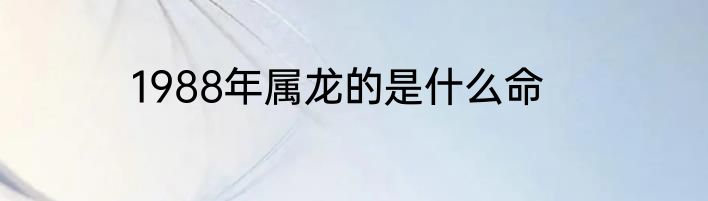 1988年属龙的是什么命