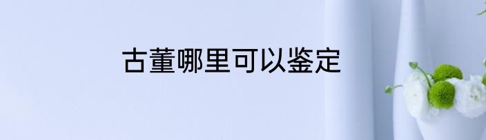 古董哪里可以鉴定