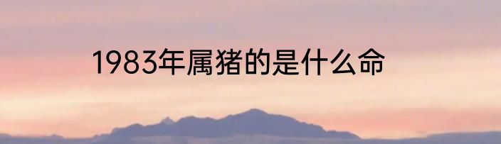 1983年属猪的是什么命
