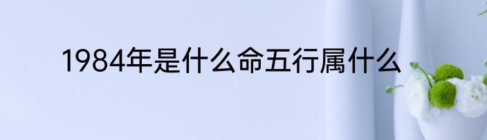 1984年是什么命五行属什么