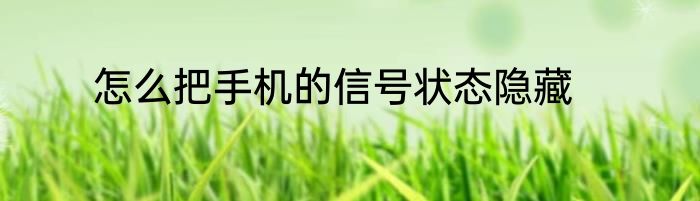 怎么把手机的信号状态隐藏