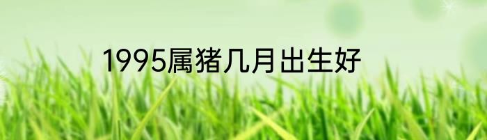1995属猪几月出生好