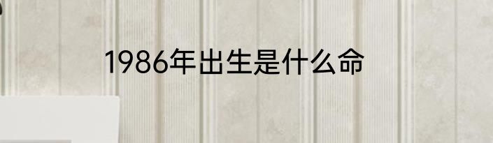 1986年出生是什么命