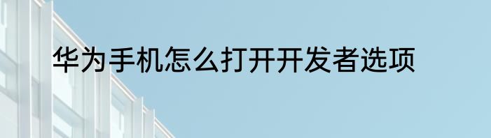 华为手机怎么打开开发者选项