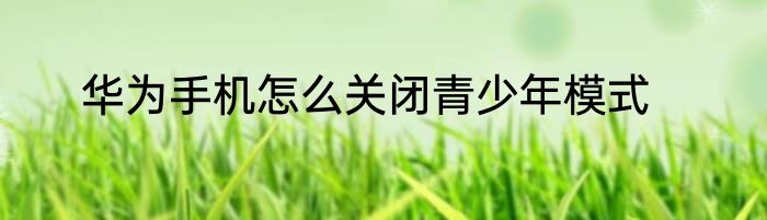 华为手机怎么关闭青少年模式