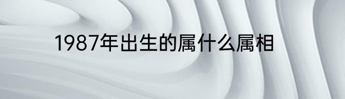 1987年出生的属什么属相