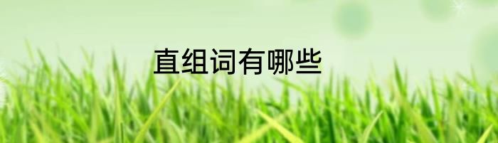 直组词有哪些