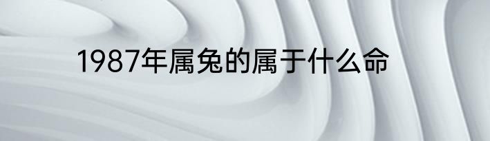 1987年属兔的属于什么命