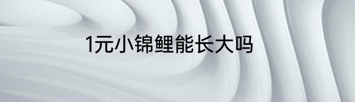 1元小锦鲤能长大吗