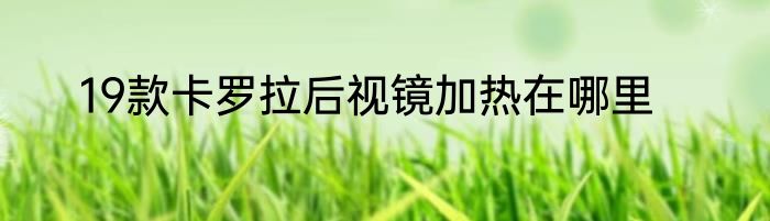 19款卡罗拉后视镜加热在哪里