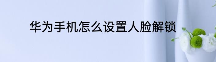 华为手机怎么设置人脸解锁