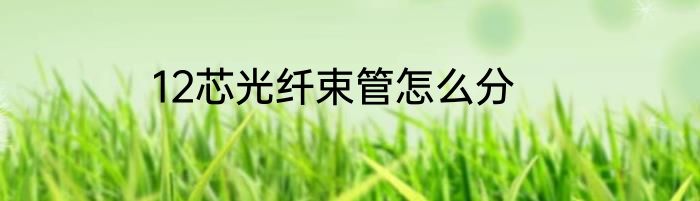 12芯光纤束管怎么分