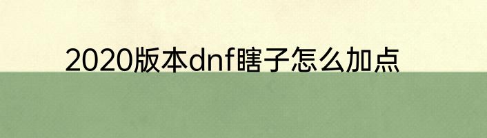 2020版本dnf瞎子怎么加点