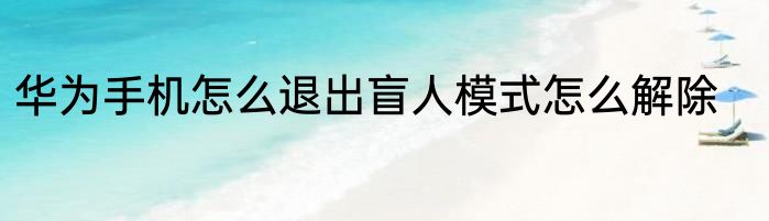 华为手机怎么退出盲人模式怎么解除