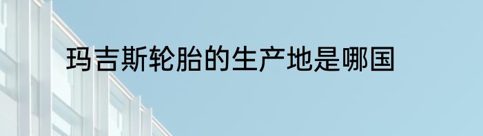 玛吉斯轮胎的生产地是哪国