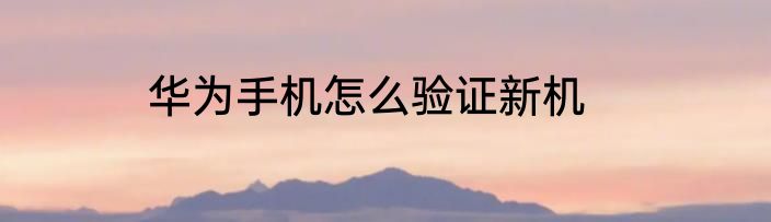 华为手机怎么验证新机