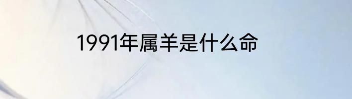 1991年属羊是什么命