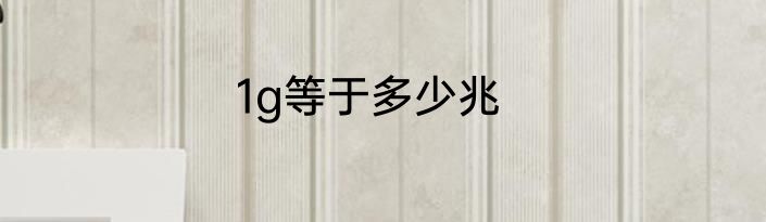 1g等于多少兆