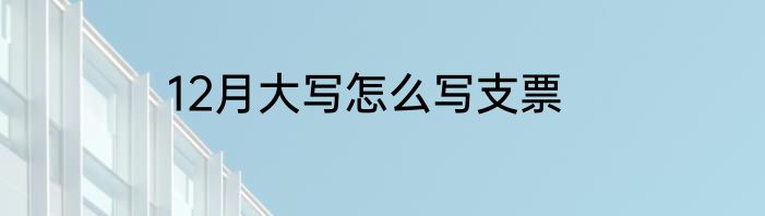 12月大写怎么写支票