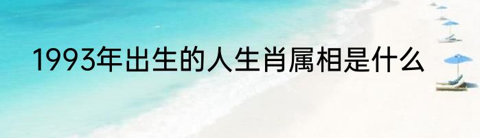 1993年出生的人生肖属相是什么