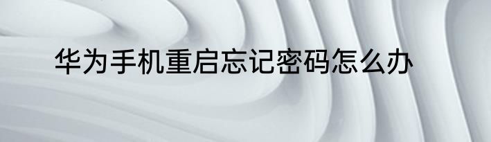 华为手机重启忘记密码怎么办
