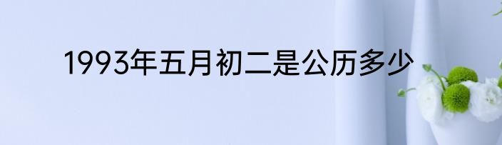 1993年五月初二是公历多少